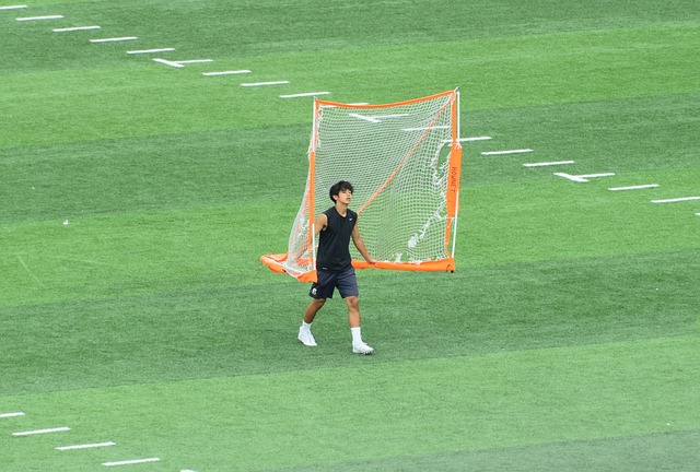 维塔尔之间